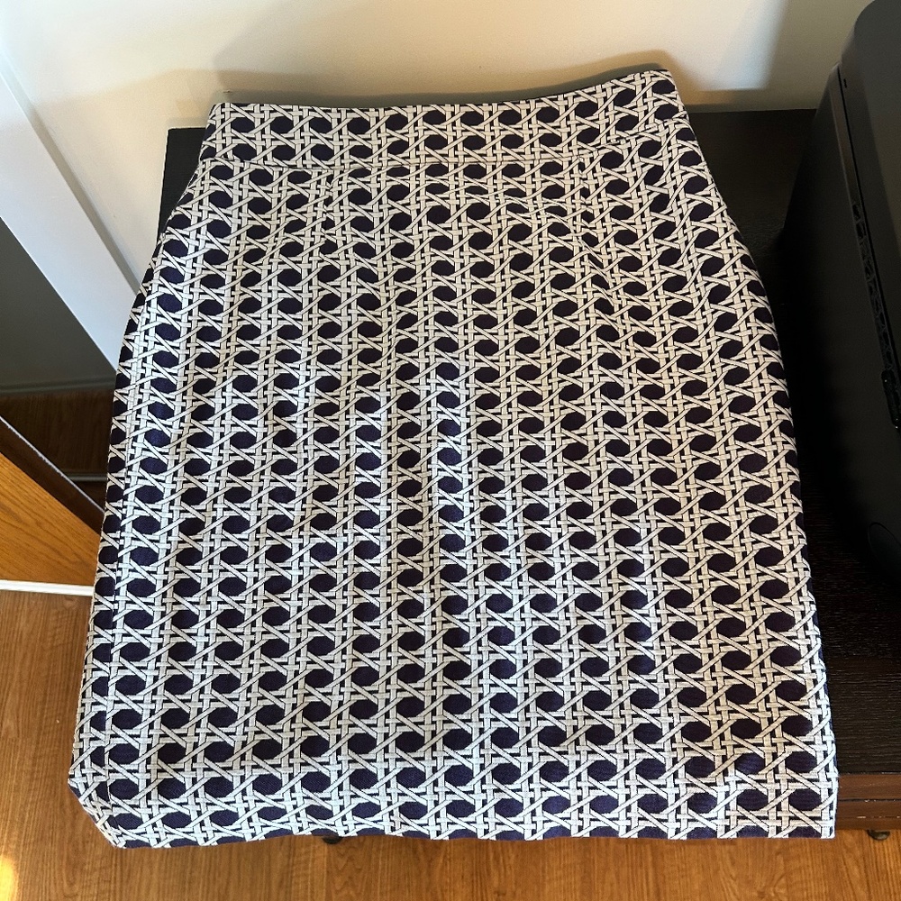 Size 6 Banana Republic Blue and White Pencil Skirt